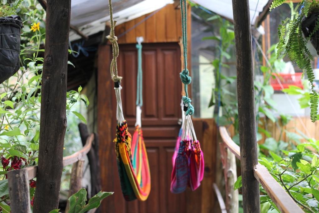 Backpackers Balcones Hostel Banos  Luaran gambar